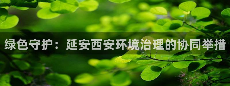 凯发官方网站|绿色守护：延安西安环境治理的协同举措