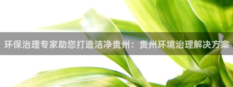 凯发k8网站是多少|环保治理专家助您打造