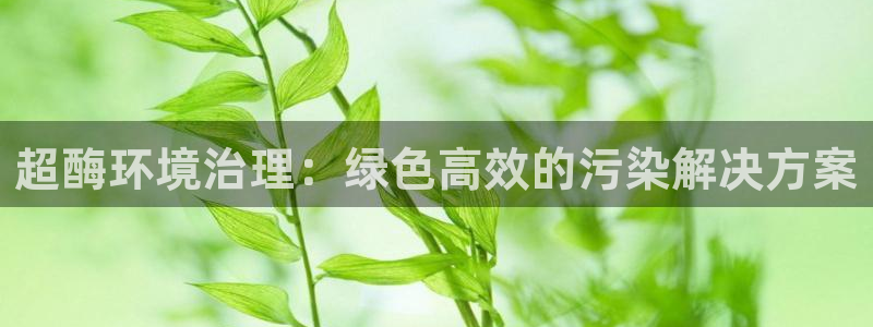 k8凯发|超酶环境治理：绿色高效的污染解决方案