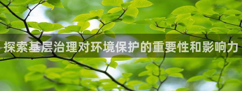 凯发k8旗舰厅注册登录|探索基层治理对环境保护的重要性和影响力